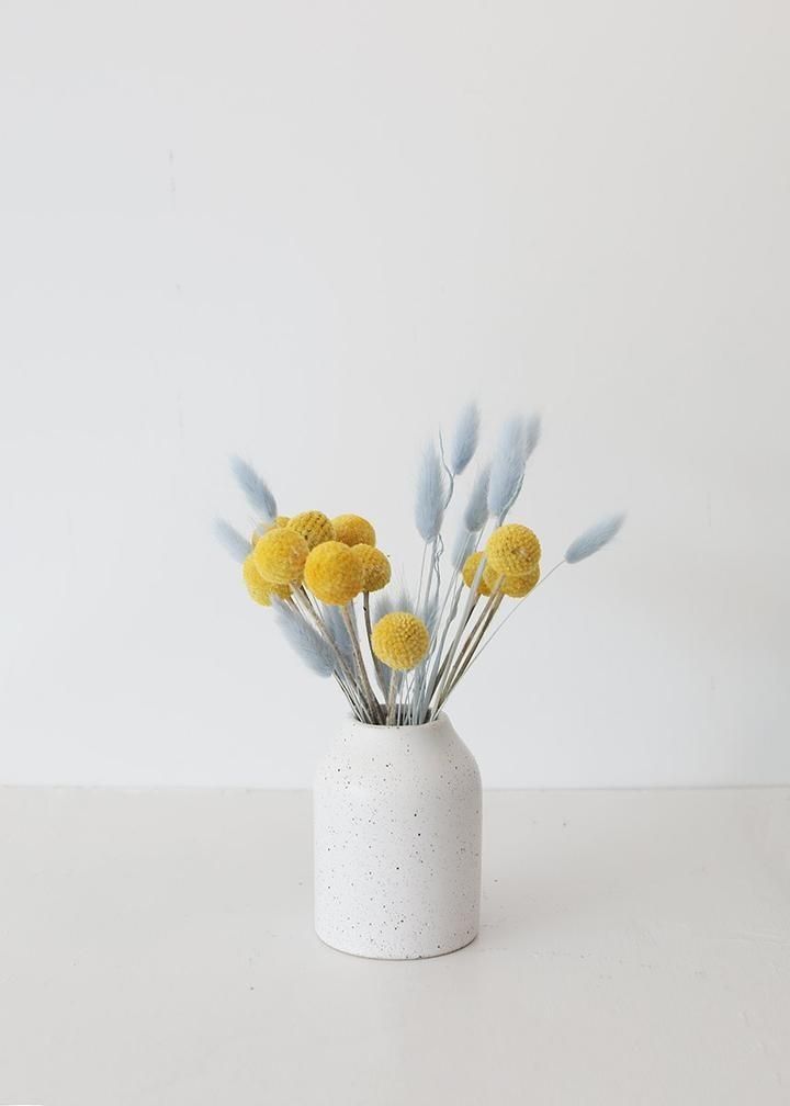 Craspedia (Billy Buttons)